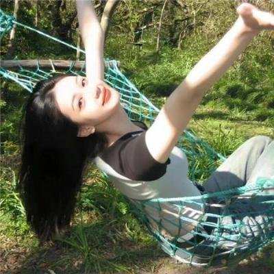 阿尔西诺和飞鹰